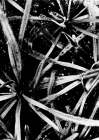 Photo n 127363