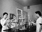 Photo n� 176538