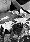 Photo n 183490