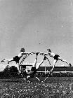 Photo n 186224