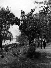 Photo n 186233