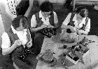 Photo n 186241