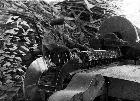 Photo n 186774