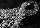 Photo n 189090