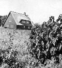 Photo n 189093