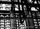 Photo n 189117