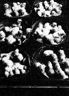 Photo n 189119