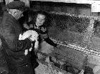 Photo n 189165