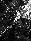 Photo n 189327