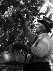 Photo n 189328