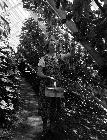 Photo n 189329