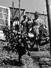 Photo n 189334
