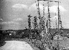 Photo n 189348