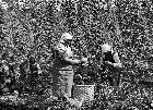 Photo n 189349