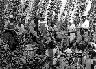 Photo n 189350