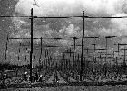 Photo n 189351