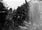 Photo n 189352