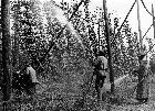 Photo n 189353