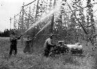 Photo n 189354