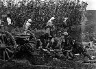 Photo n 189355