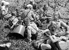 Photo n 189357