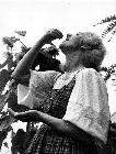 Photo n 189366