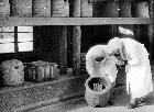 Photo n 189617