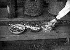 Photo n 189619