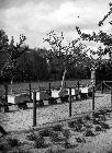 Photo n 189622
