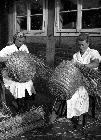 Photo n 189623