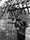 Photo n 190066