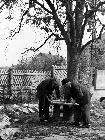 Photo n 190068