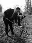 Photo n 190073