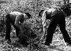 Photo n 190075
