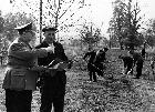 Photo n� 190078