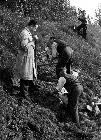 Photo n� 190080