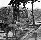 Photo n 190084