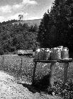Photo n 190086
