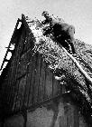 Photo n 190128