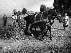 Photo n 190129
