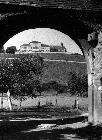 Photo n 190284