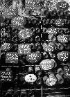 Photo n 190285