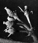 Photo n 190309