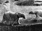 Photo n� 190805