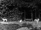 Photo n� 190807