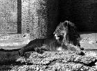 Photo n� 190808