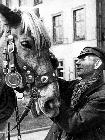 Photo n 190973
