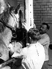 Photo n 190975
