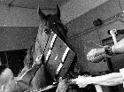 Photo n 190977