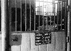 Photo n 190978
